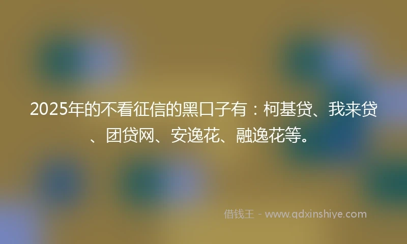 2025年的不看征信的黑口子有：柯基贷、我来贷、团贷网、安逸花、融逸花等。