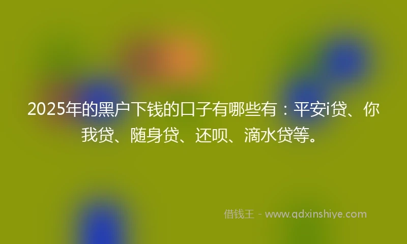 2025年的黑户下钱的口子有哪些有:平安i贷、你我贷、随身贷、还呗、滴水贷等。