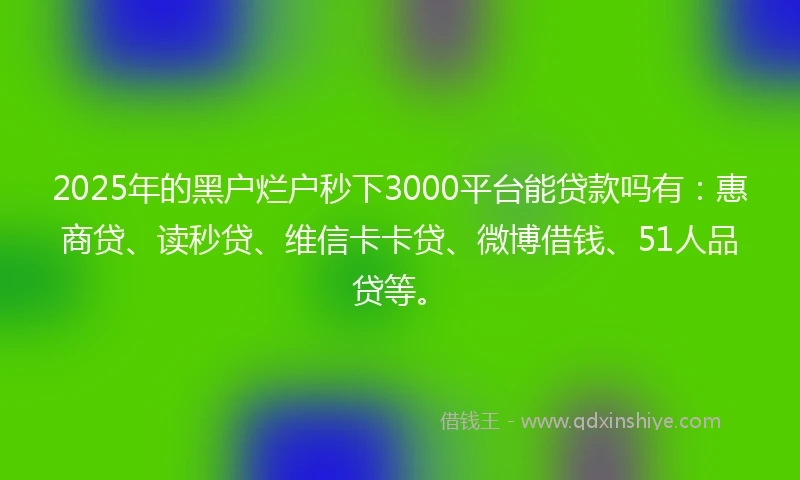 2025年的黑户烂户秒下3000平台能贷款吗有：惠商贷、读秒贷、维信卡卡贷、微博借钱、51人品贷等。