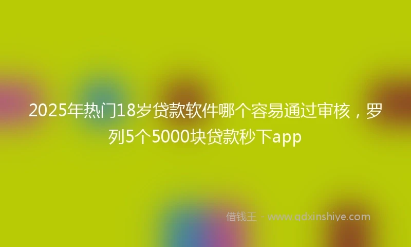 2025年热门18岁贷款软件哪个容易通过审核,罗列5个5000块贷款秒下app