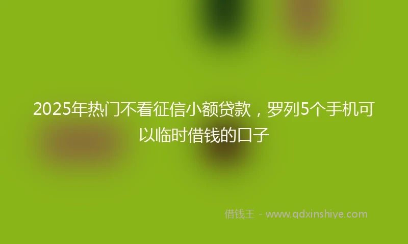 2025年热门不看征信小额贷款，罗列5个手机可以临时借钱的口子