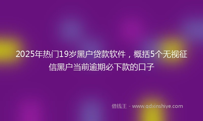 2025年热门19岁黑户贷款软件，概括5个无视征信黑户当前逾期必下款的口子