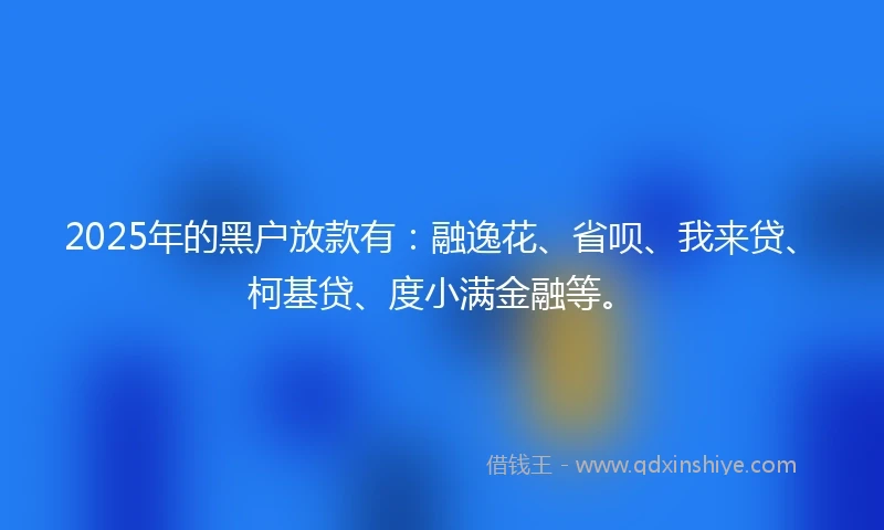 2025年的黑户放款有：融逸花、省呗、我来贷、柯基贷、度小满金融等。