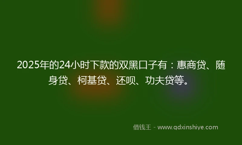 2025年的24小时下款的双黑口子有：惠商贷、随身贷、柯基贷、还呗、功夫贷等。