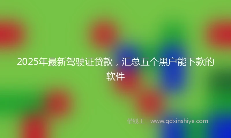 2025年最新驾驶证贷款，汇总五个黑户能下款的软件