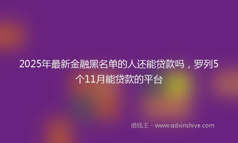 2025年最新金融黑名单的人还能贷款吗，罗列5个11月能贷款的平台