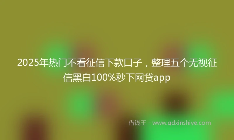 2025年热门不看征信下款口子，整理五个无视征信黑白100%秒下网贷app