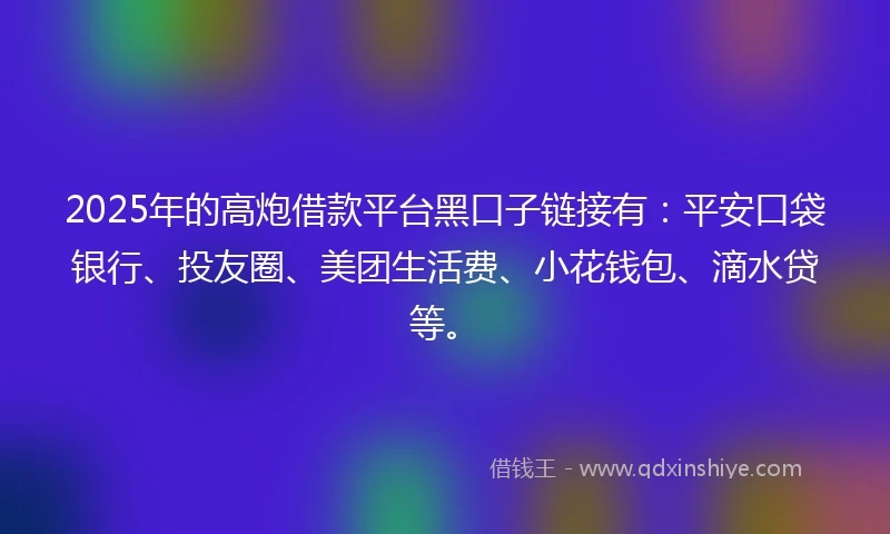 2025年的高炮借款平台黑口子链接有：平安口袋银行、投友圈、美团生活费、小花钱包、滴水贷等。