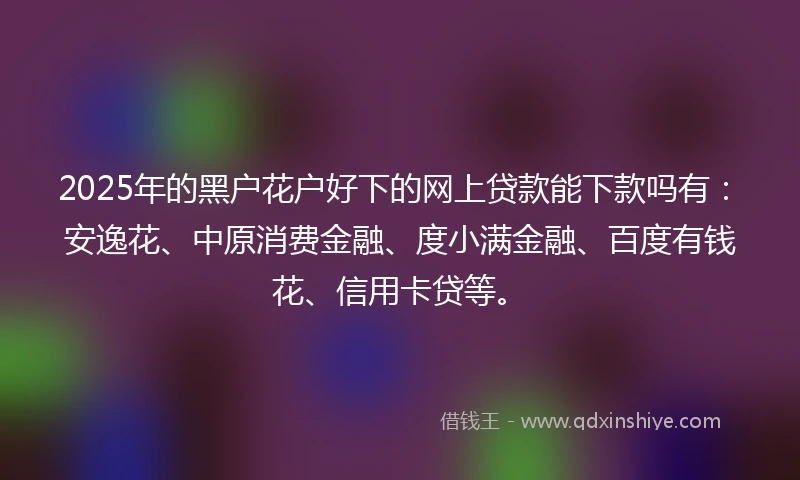 2025年的黑户花户好下的网上贷款能下款吗有：安逸花、中原消费金融、度小满金融、百度有钱花、信用卡贷等。