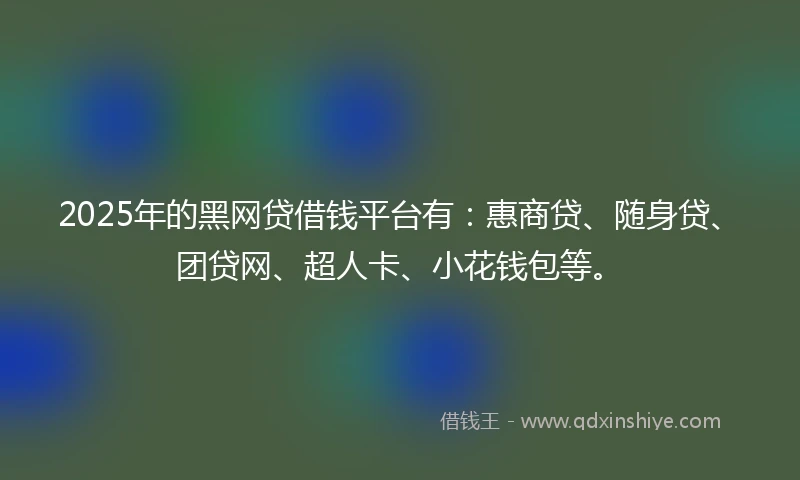2025年的黑网贷借钱平台有：惠商贷、随身贷、团贷网、超人卡、小花钱包等。