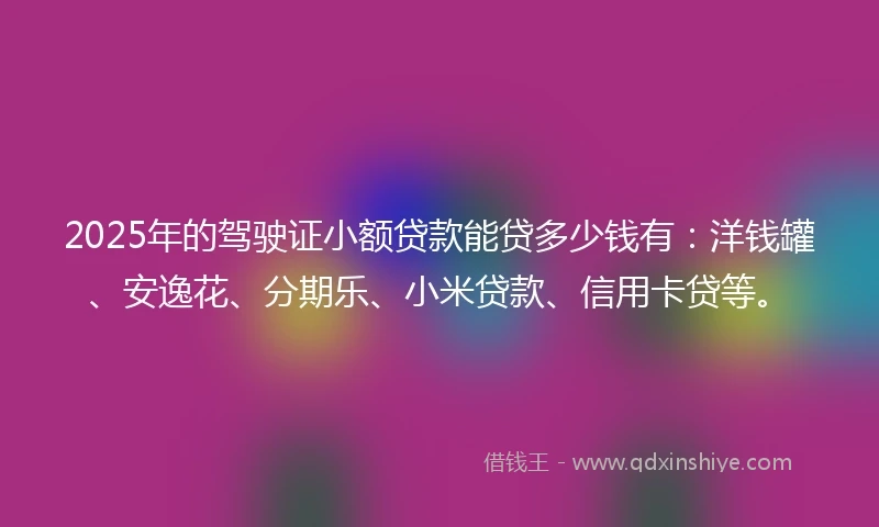 2025年的驾驶证小额贷款能贷多少钱有：洋钱罐、安逸花、分期乐、小米贷款、信用卡贷等。