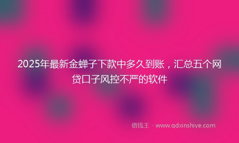 2025年最新金蝉子下款中多久到账，汇总五个网贷口子风控不严的软件
