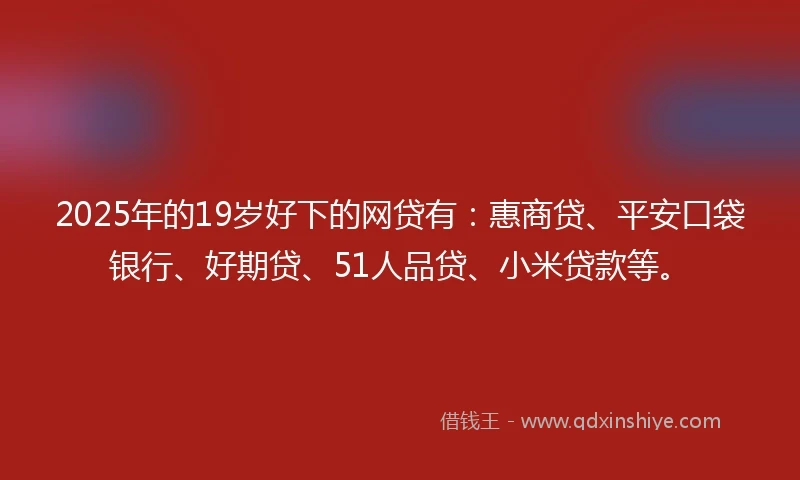 2025年的19岁好下的网贷有：惠商贷、平安口袋银行、好期贷、51人品贷、小米贷款等。