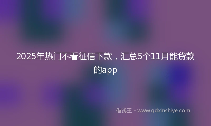 2025年热门不看征信下款，汇总5个11月能贷款的app