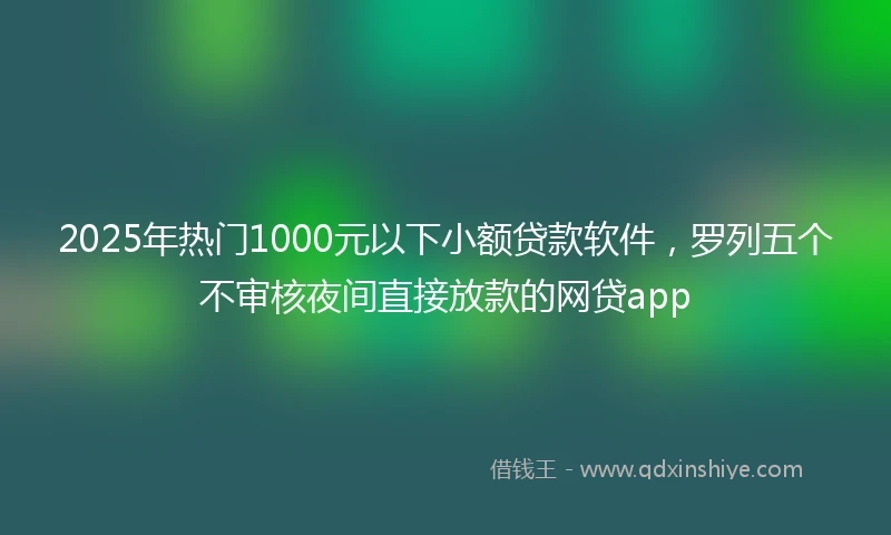 2025年热门1000元以下小额贷款软件，罗列五个不审核夜间直接放款的网贷app
