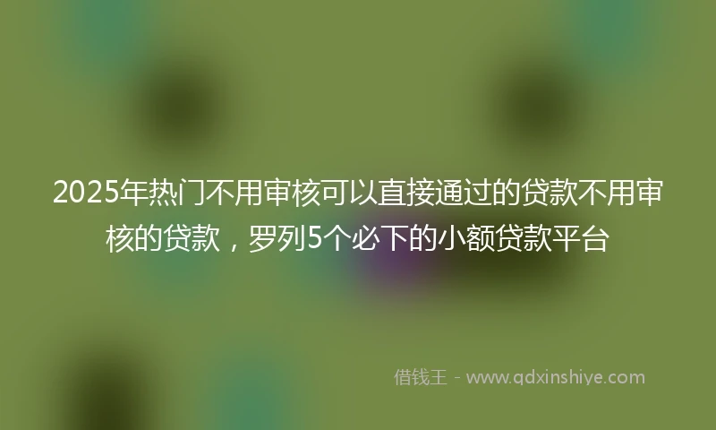 2025年热门不用审核可以直接通过的贷款不用审核的贷款，罗列5个必下的小额贷款平台