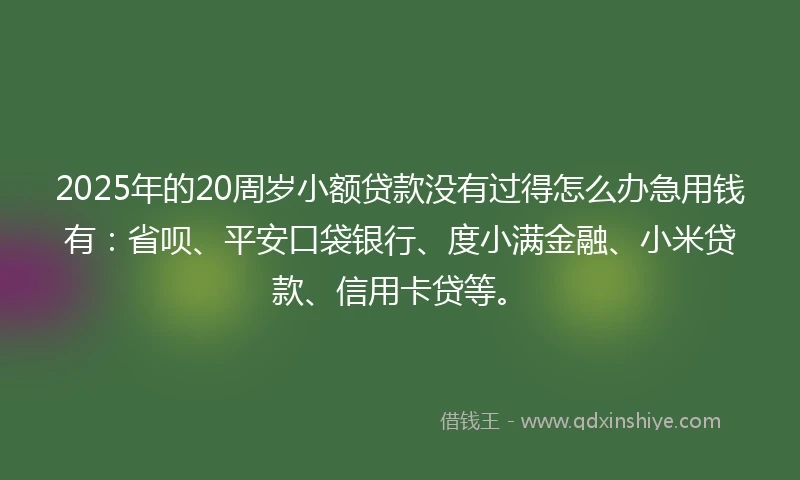 2025年的20周岁小额贷款没有过得怎么办急用钱有:省呗、平安口袋银行、度小满金融、小米贷款、信用卡贷等。