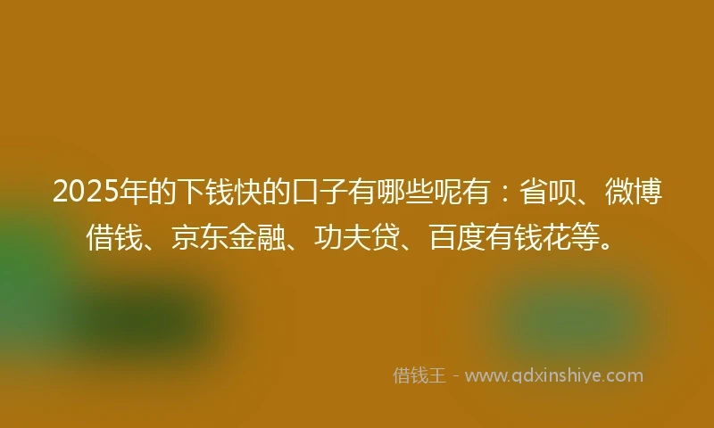 2025年的下钱快的口子有哪些呢有：省呗、微博借钱、京东金融、功夫贷、百度有钱花等。