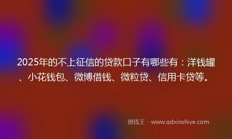 2025年的不上征信的贷款口子有哪些有：洋钱罐、小花钱包、微博借钱、微粒贷、信用卡贷等。