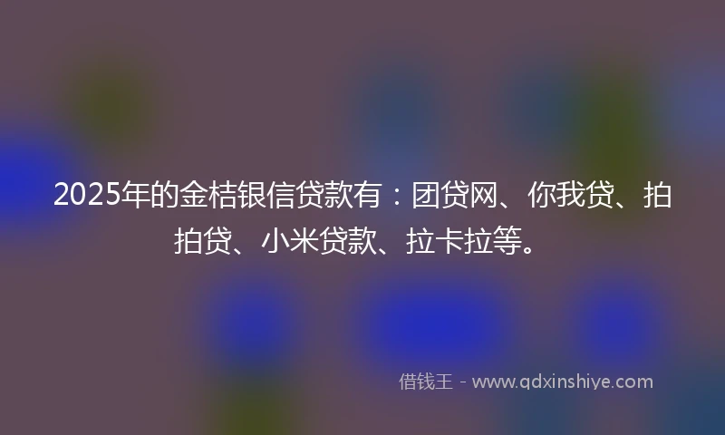 2025年的金桔银信贷款有：团贷网、你我贷、拍拍贷、小米贷款、拉卡拉等。