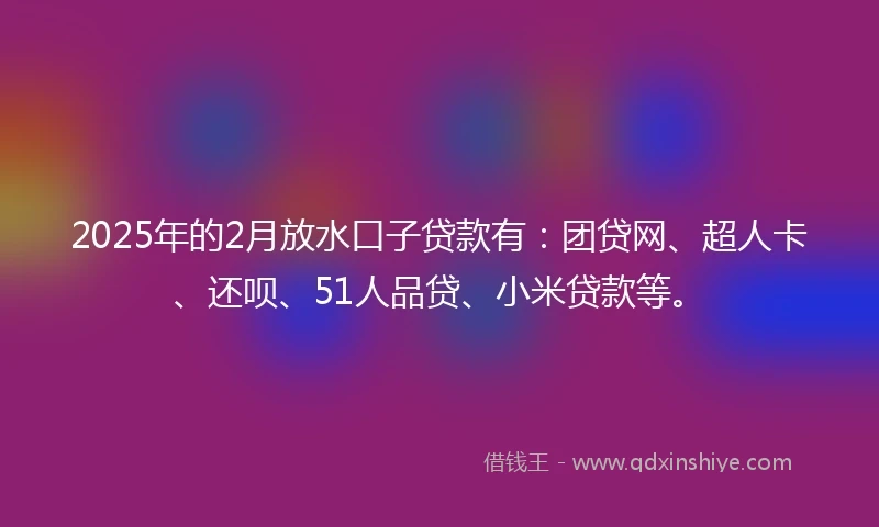 2025年的2月放水口子贷款有：团贷网、超人卡、还呗、51人品贷、小米贷款等。