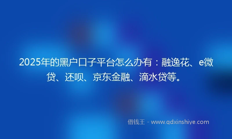 2025年的黑户口子平台怎么办有：融逸花、e微贷、还呗、京东金融、滴水贷等。