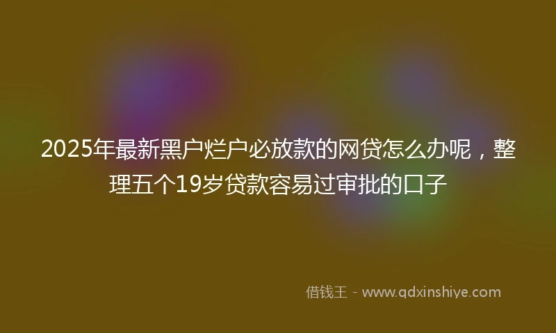 2025年最新黑户烂户必放款的网贷怎么办呢，整理五个19岁贷款容易过审批的口子