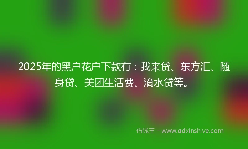 2025年的黑户花户下款有：我来贷、东方汇、随身贷、美团生活费、滴水贷等。