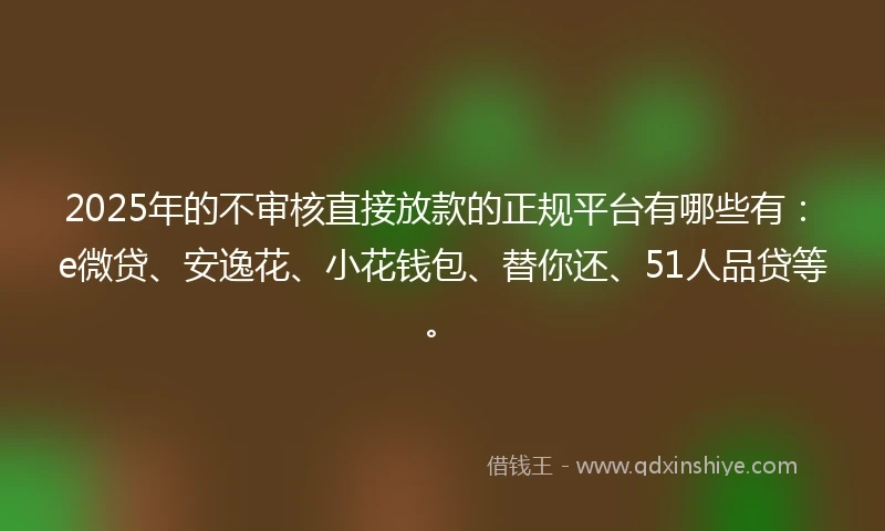 2025年的不审核直接放款的正规平台有哪些有：e微贷、安逸花、小花钱包、替你还、51人品贷等。