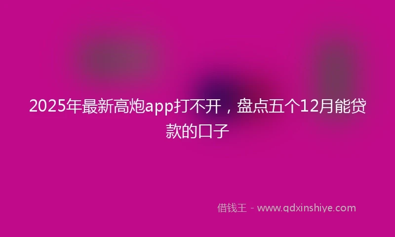 2025年最新高炮app打不开，盘点五个12月能贷款的口子