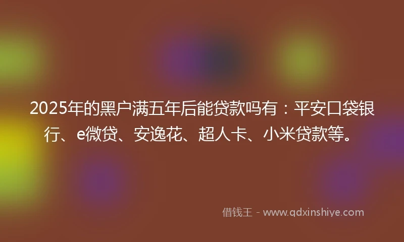 2025年的黑户满五年后能贷款吗有：平安口袋银行、e微贷、安逸花、超人卡、小米贷款等。