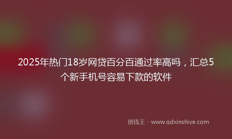 2025年热门18岁网贷百分百通过率高吗,汇总5个新手机号容易下款的软件