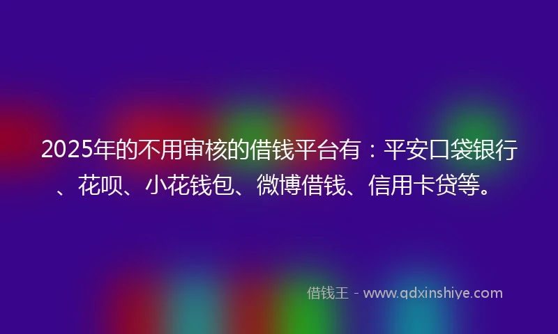 2025年的不用审核的借钱平台有：平安口袋银行、花呗、小花钱包、微博借钱、信用卡贷等。