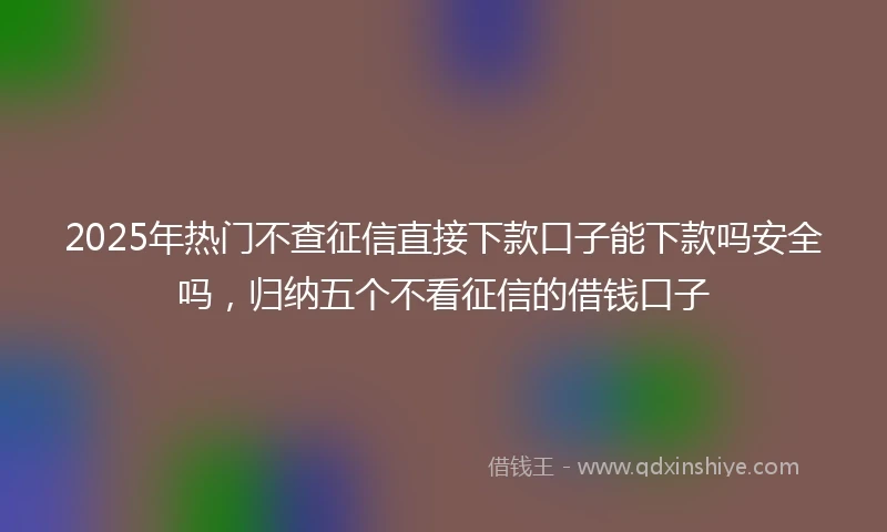 2025年热门不查征信直接下款口子能下款吗安全吗，归纳五个不看征信的借钱口子