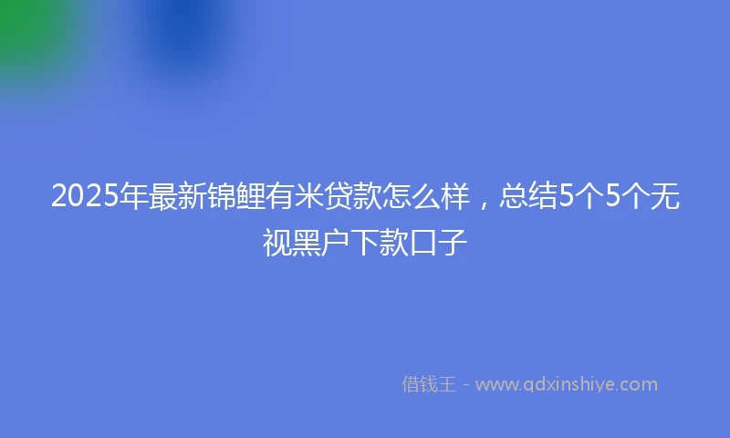 2025年最新锦鲤有米贷款怎么样，总结5个5个无视黑户下款口子
