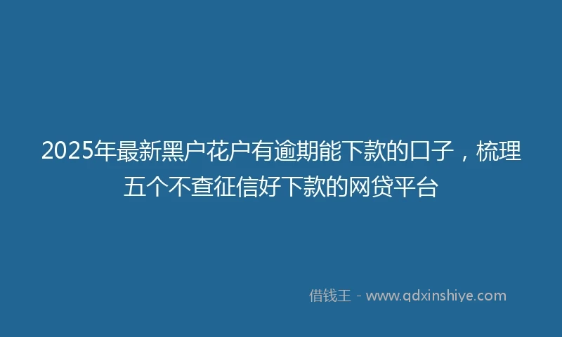2025年最新黑户花户有逾期能下款的口子，梳理五个不查征信好下款的网贷平台