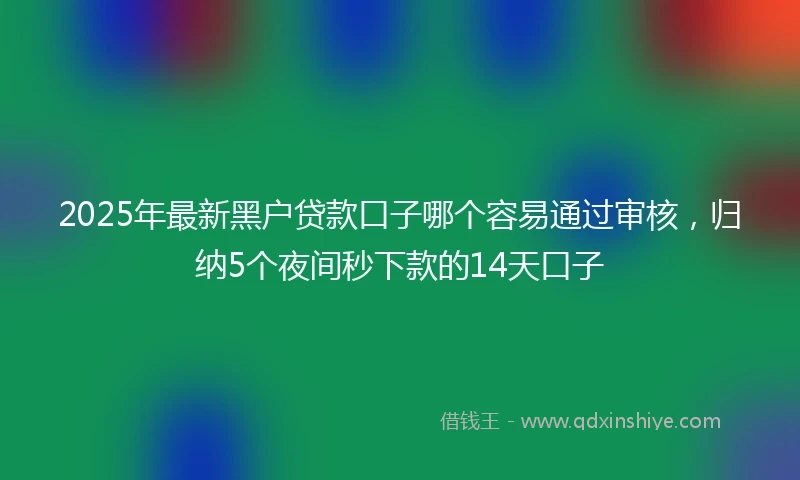 2025年最新黑户贷款口子哪个容易通过审核，归纳5个夜间秒下款的14天口子