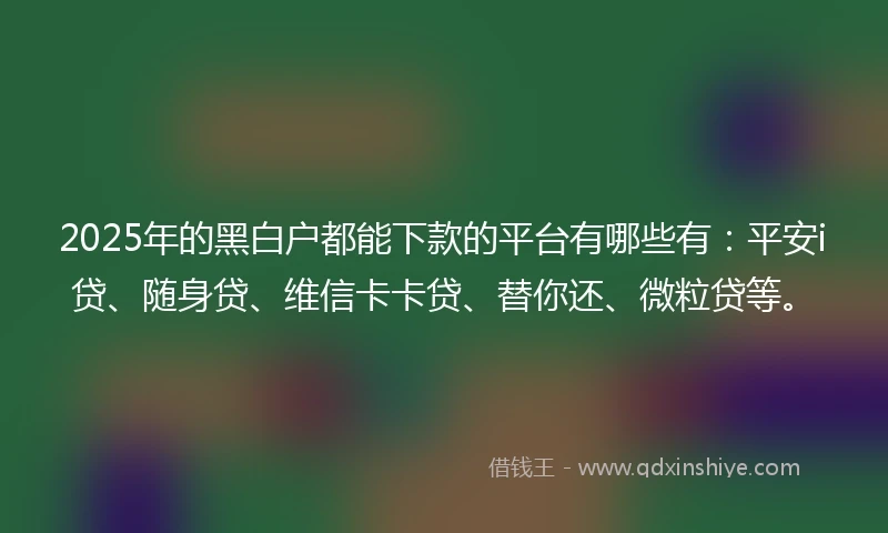 2025年的黑白户都能下款的平台有哪些有：平安i贷、随身贷、维信卡卡贷、替你还、微粒贷等。