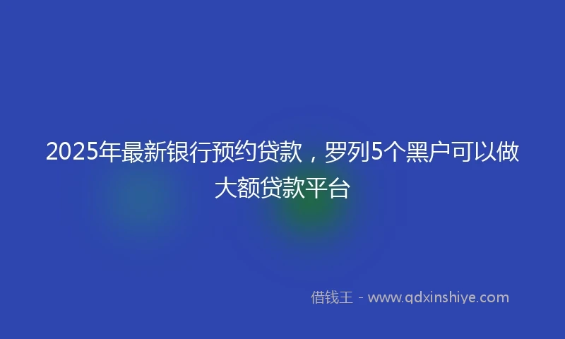 2025年最新银行预约贷款，罗列5个黑户可以做大额贷款平台