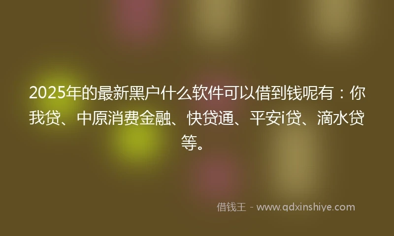 2025年的最新黑户什么软件可以借到钱呢有：你我贷、中原消费金融、快贷通、平安i贷、滴水贷等。