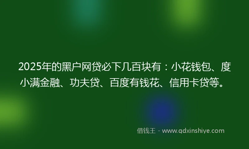 2025年的黑户网贷必下几百块有：小花钱包、度小满金融、功夫贷、百度有钱花、信用卡贷等。