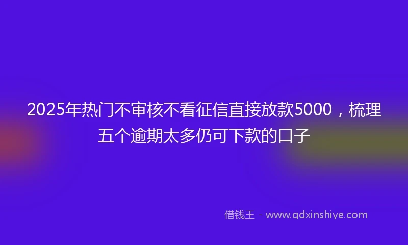 2025年热门不审核不看征信直接放款5000，梳理五个逾期太多仍可下款的口子