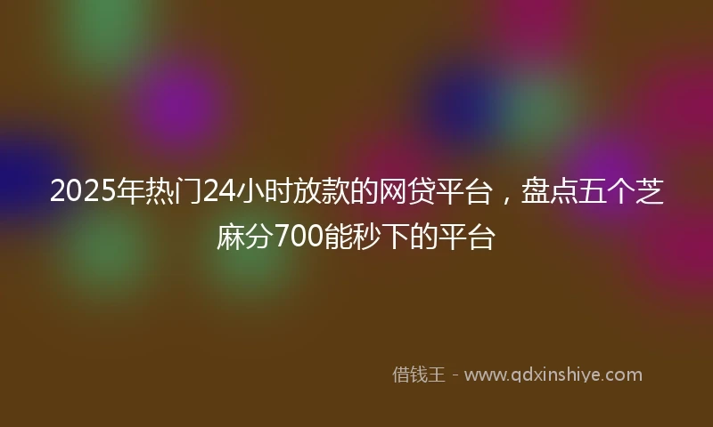 2025年热门24小时放款的网贷平台,盘点五个芝麻分700能秒下的平台