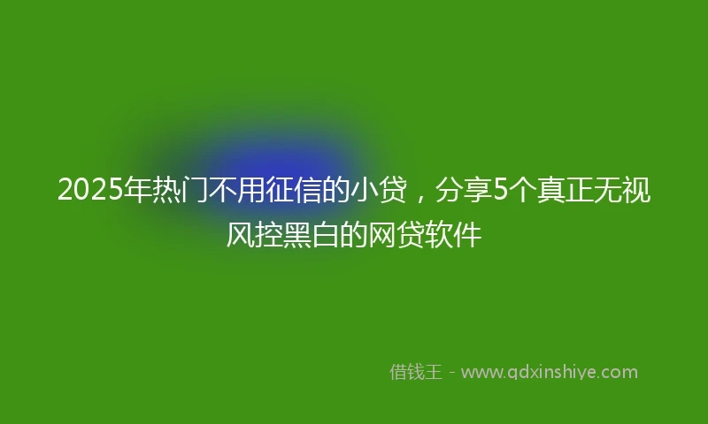 2025年热门不用征信的小贷，分享5个真正无视风控黑白的网贷软件