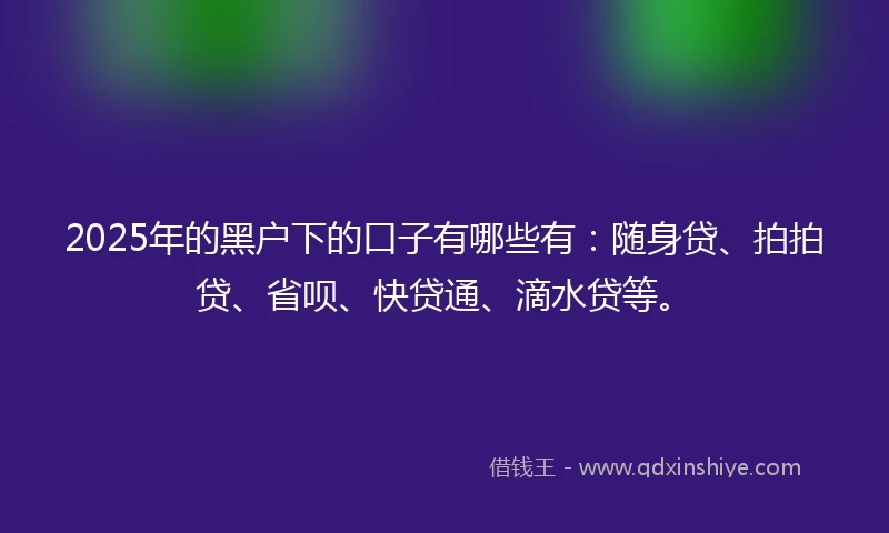 2025年的黑户下的口子有哪些有：随身贷、拍拍贷、省呗、快贷通、滴水贷等。
