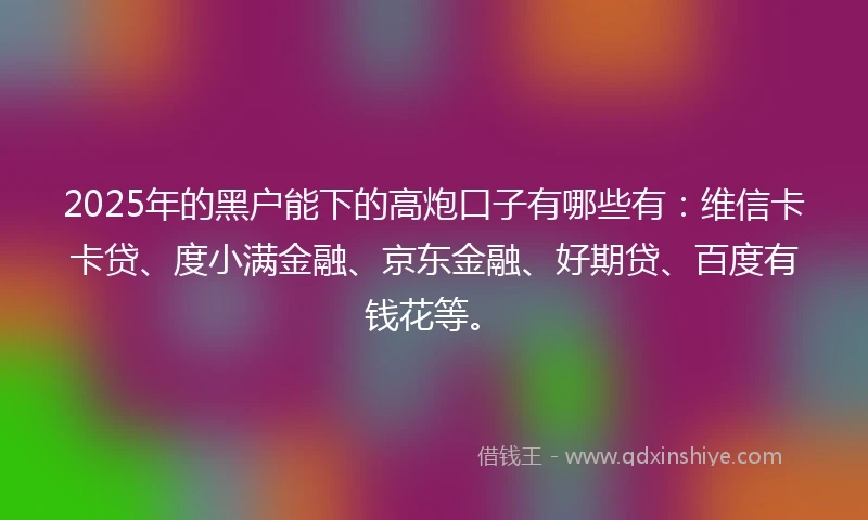 2025年的黑户能下的高炮口子有哪些有：维信卡卡贷、度小满金融、京东金融、好期贷、百度有钱花等。