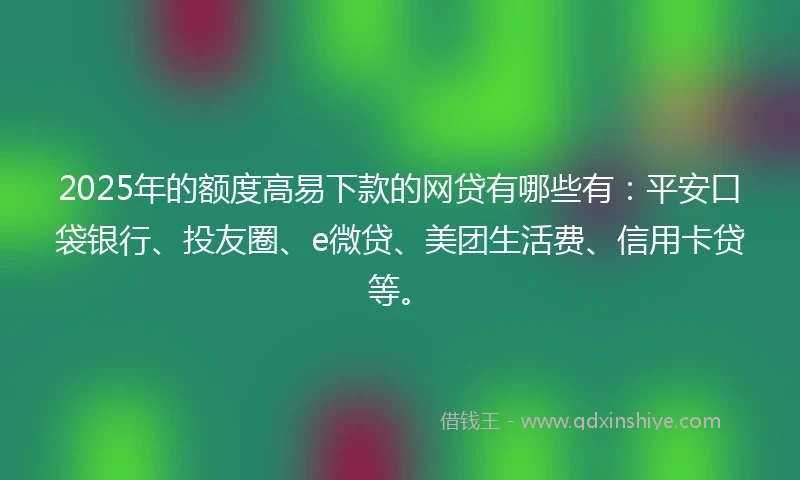 2025年的额度高易下款的网贷有哪些有：平安口袋银行、投友圈、e微贷、美团生活费、信用卡贷等。