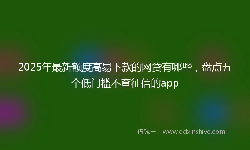 2025年最新额度高易下款的网贷有哪些，盘点五个低门槛不查征信的app