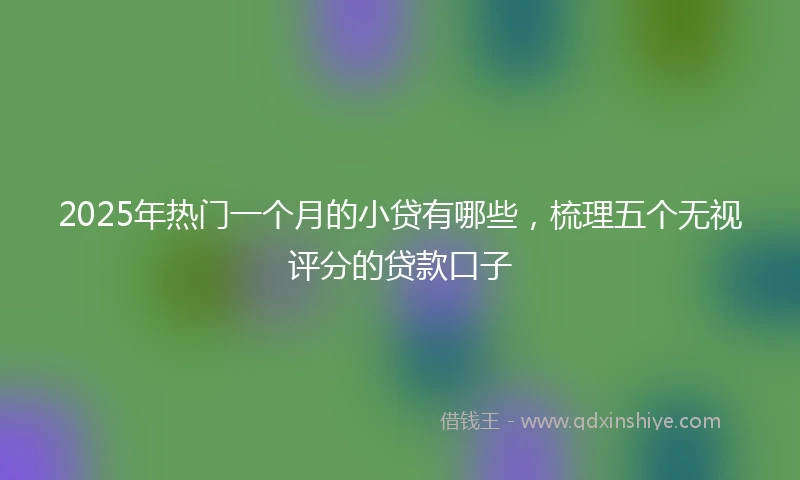 2025年热门一个月的小贷有哪些，梳理五个无视评分的贷款口子