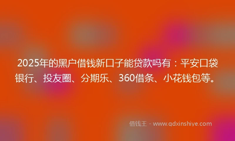 2025年的黑户借钱新口子能贷款吗有：平安口袋银行、投友圈、分期乐、360借条、小花钱包等。